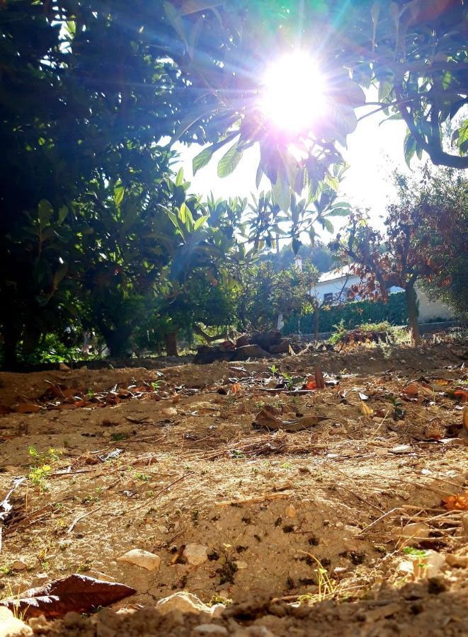 La Caseta Benimantell Luaran gambar
